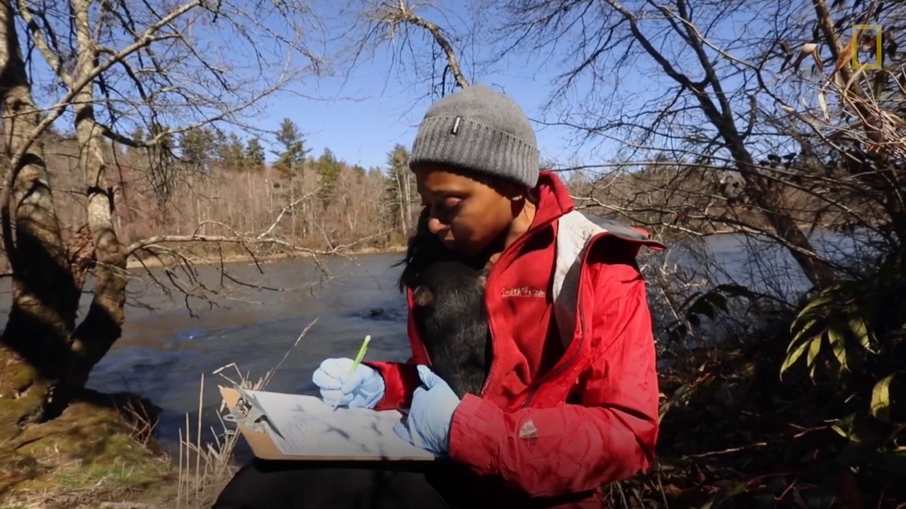 Explorers at Work Rae WynnGrant